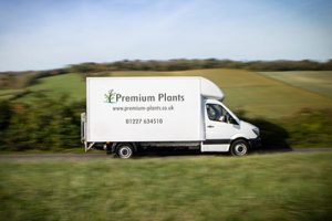 Premium Plants Van